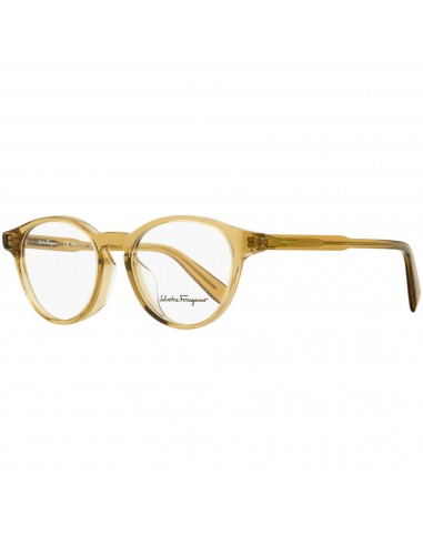 Salvatore Ferragamo Women's Eyeglasses - Brown Frame | SALVATORE FERRAGAMO SF2821A 210 Comment ça marche