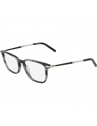 Salvatore Ferragamo Men's Eyeglasses - Striped Khaki | SALVATORE FERRAGAMO2861 319 Amélioration de cerveau avec