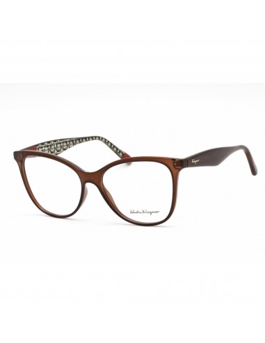 Salvatore Ferragamo Women's Eyeglasses - Crystal Brown Cat Eye Frame | SF2892 210 Venez acheter