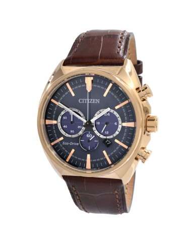 Citizen Men's Watch - Eco Drive Chronograph Blue Dial Leather Brown Strap | CA4283-04L pas cher