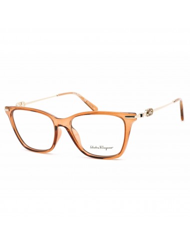 Salvatore Ferragamo Women's Eyeglasses - Crystal Brown Rectangular Frame | SF2891 210 Les êtres humains sont 